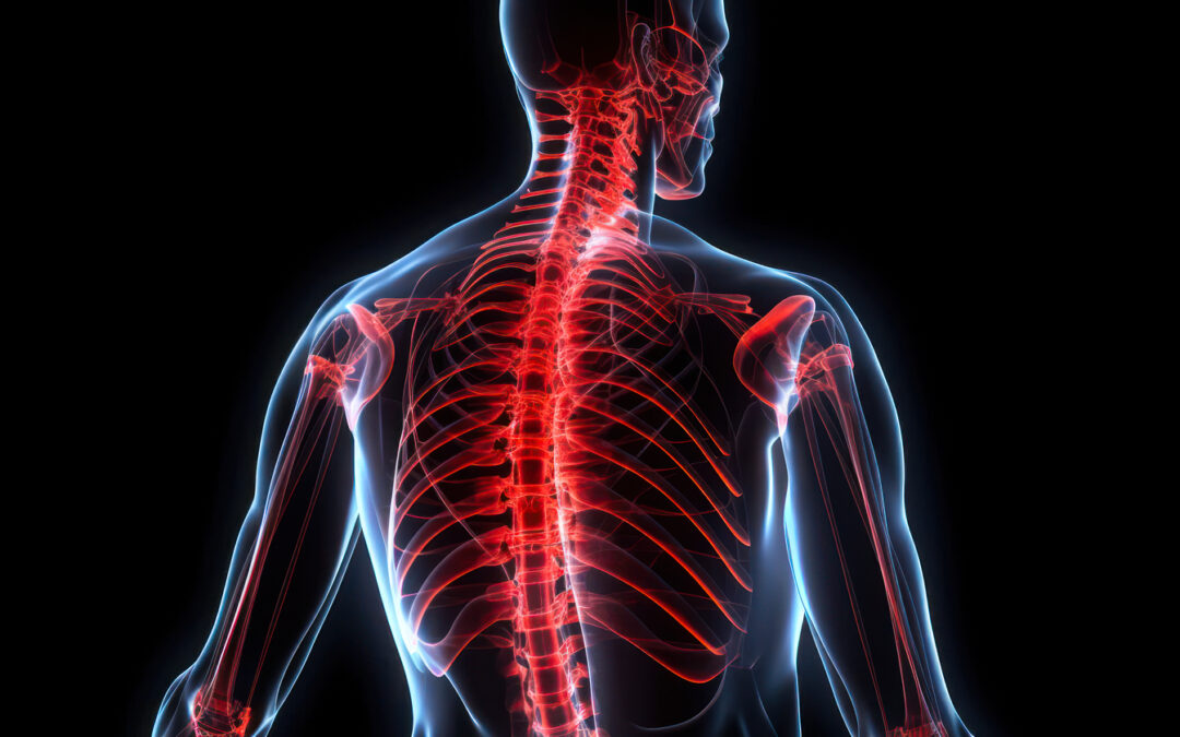 ehr software concept image of a human spine with a transparent human outline