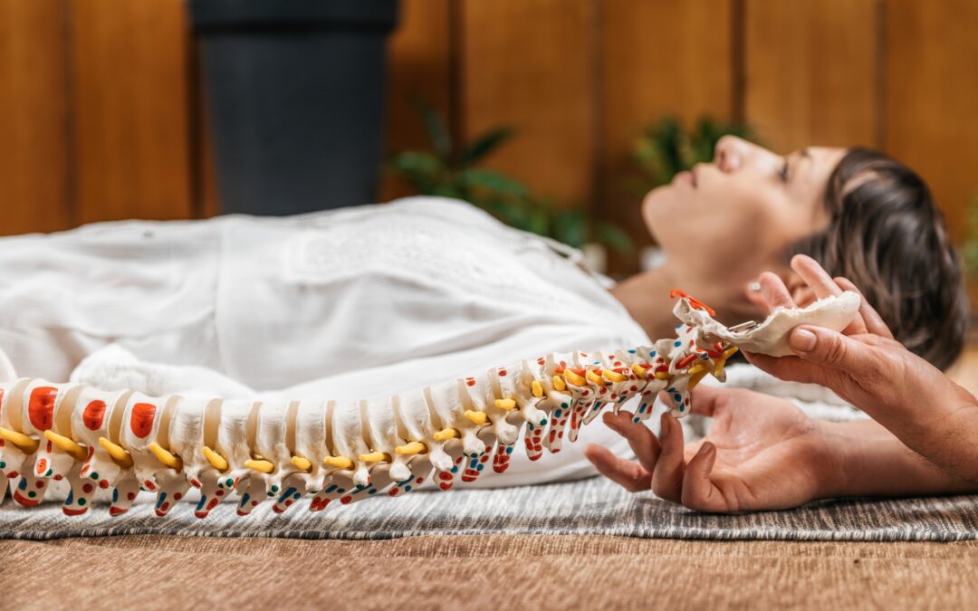 Chiropractic and Osteopathy Patient Education with Flexible Spine Model