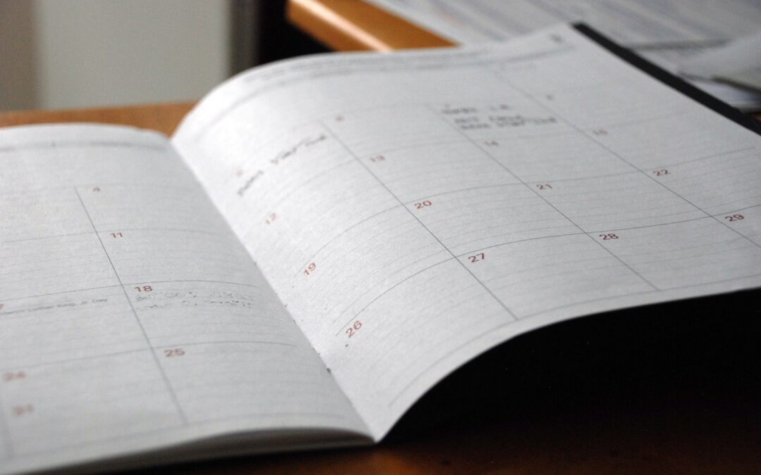 paper chiropractic scheduling on date book
